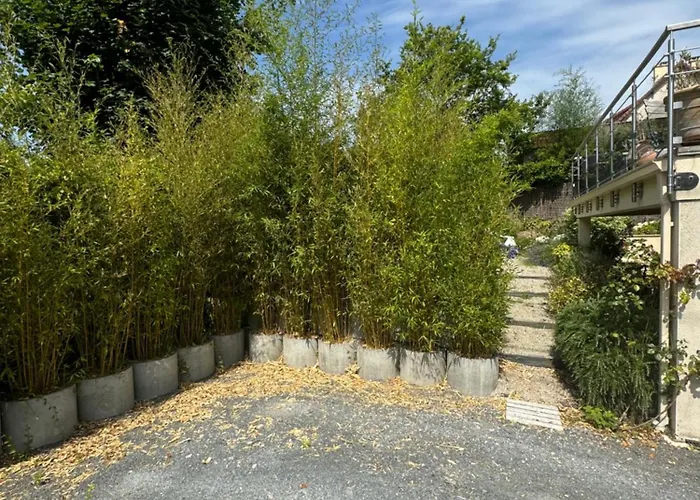 Garcane à 200 M De La - Cabourg Casa de Férias